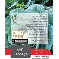 بذور  كرنب للزراعة المنزلية من زين سيدز  بحجم 5 جرام